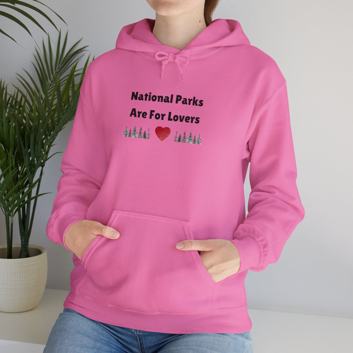 National Parks Hoodie (Black Font)