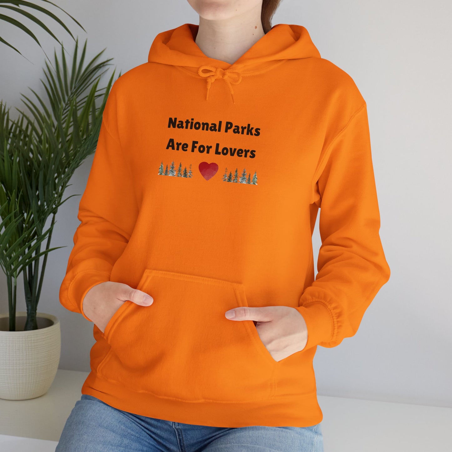 National Parks Hoodie (Black Font)