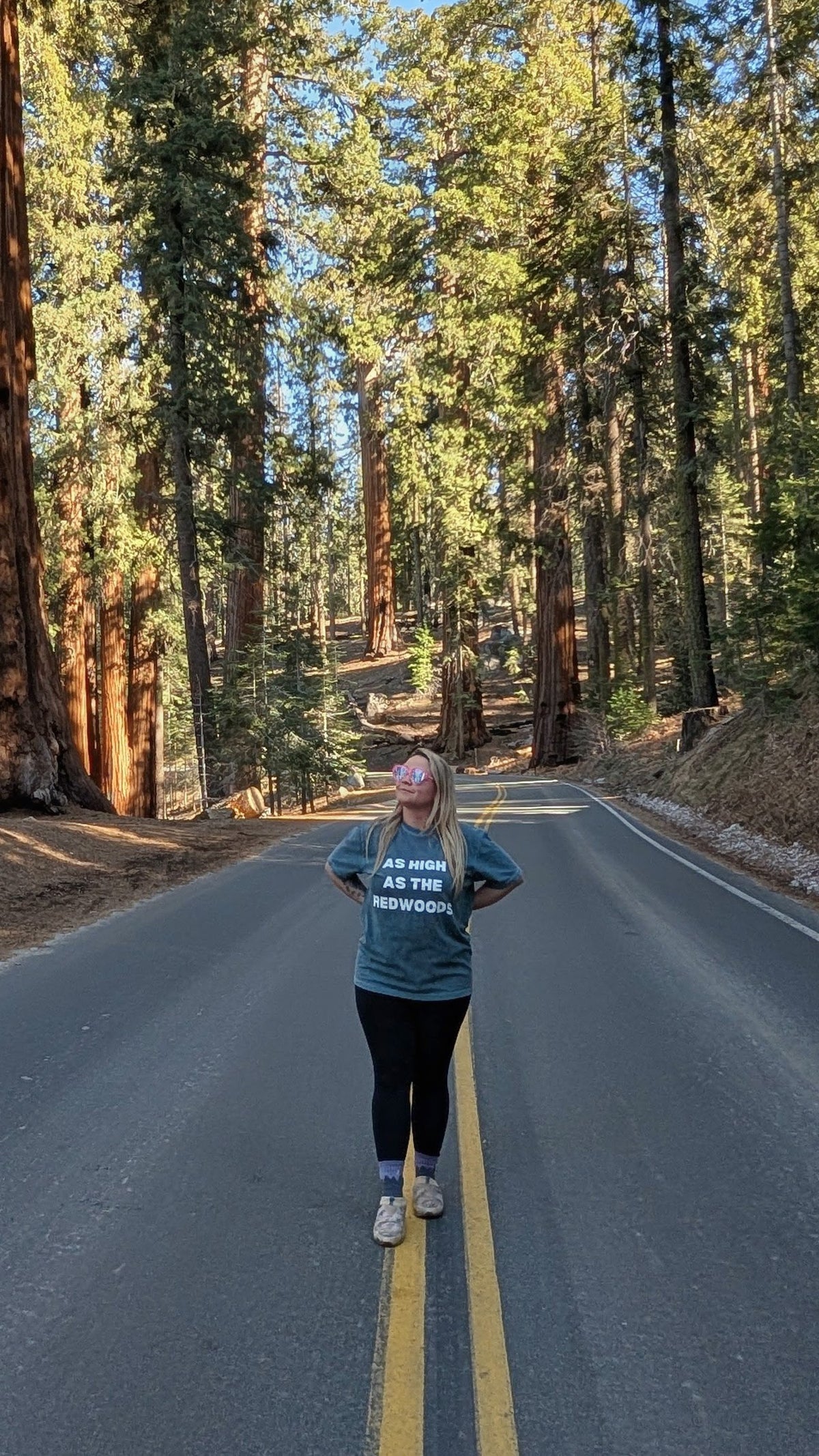 Redwoods T-Shirt