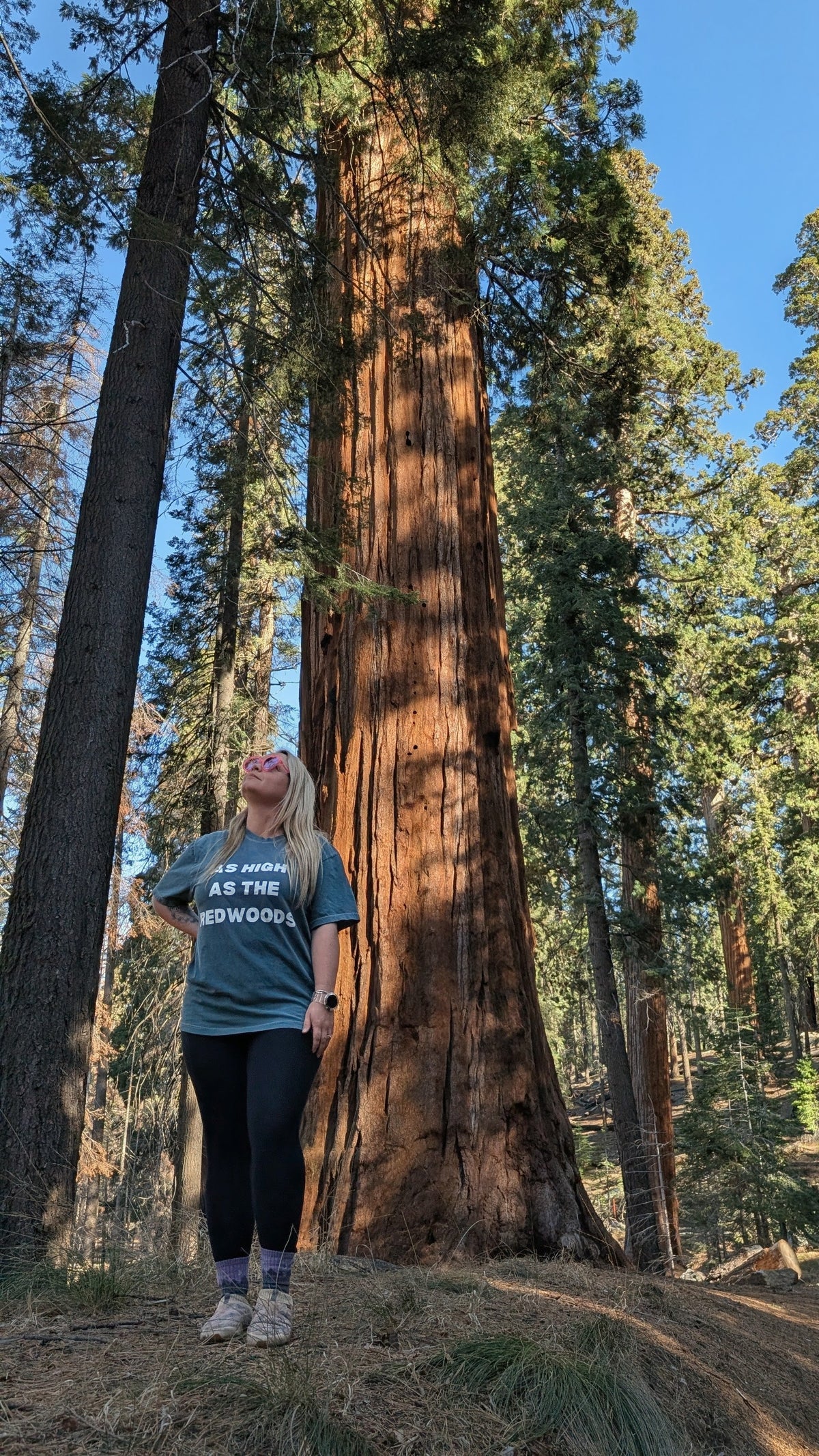 Redwoods T-Shirt