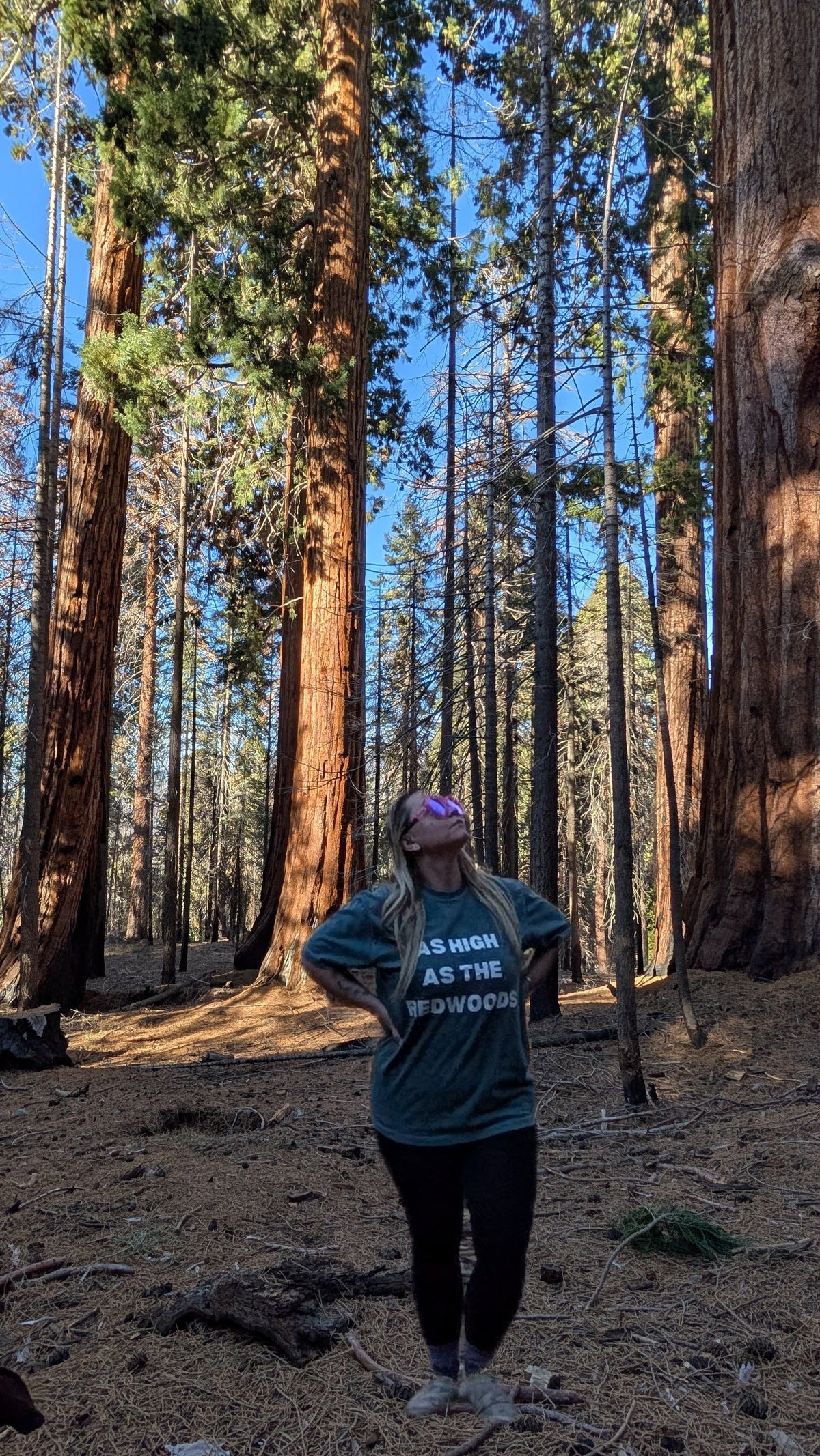Redwoods T-Shirt
