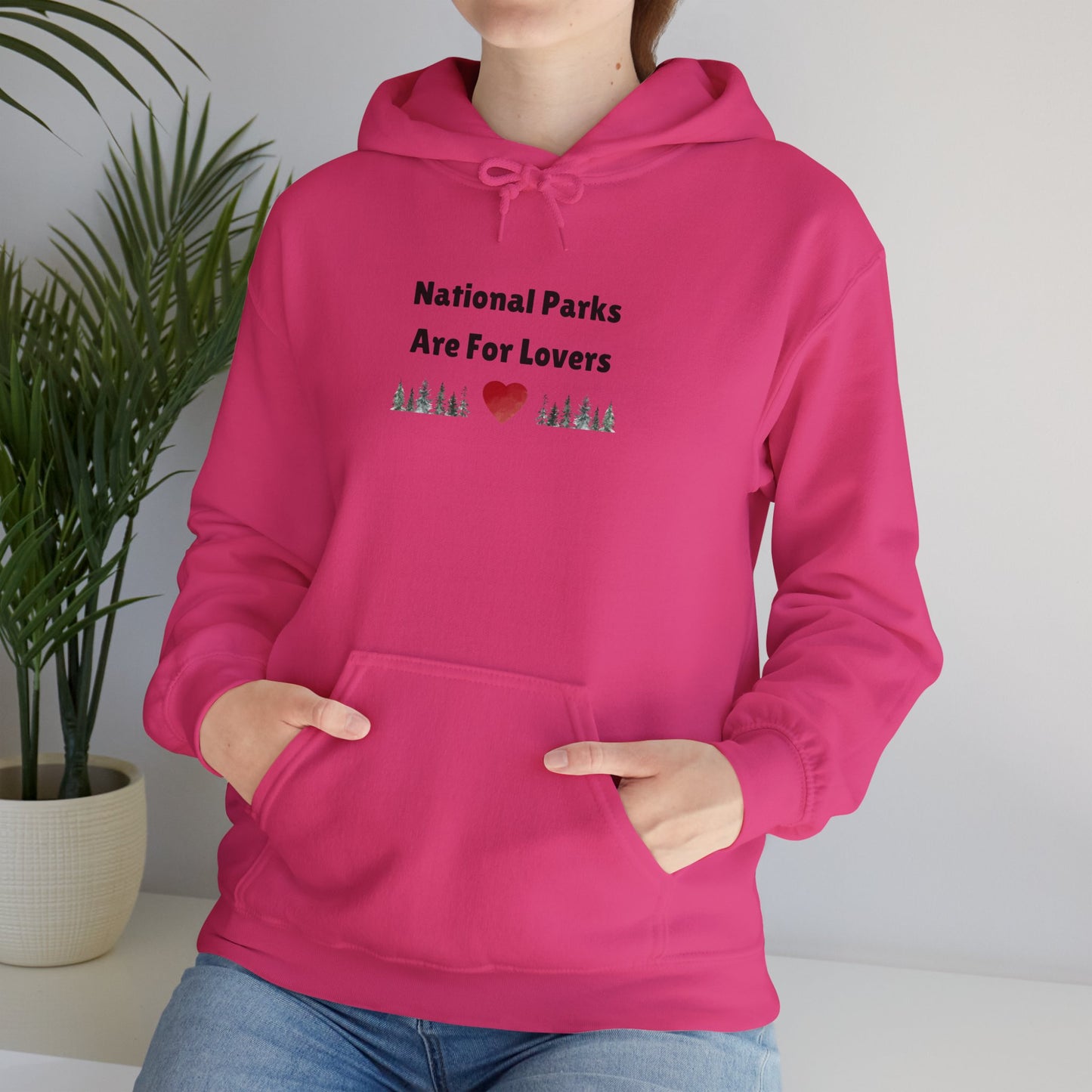 National Parks Hoodie (Black Font)